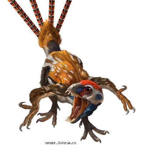 2 cel mai vechi al este un dinozaur c�t un porumbel